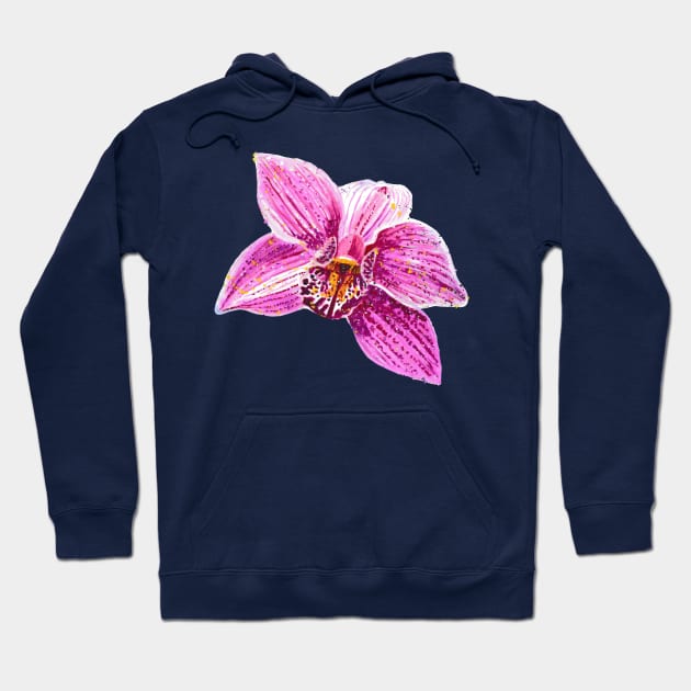 Cymbidium Orchid Pink Flower 1 Hoodie by nastiaart